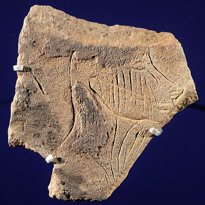 Photo de Grotte de La Marche de Lussac-les-Châteaux