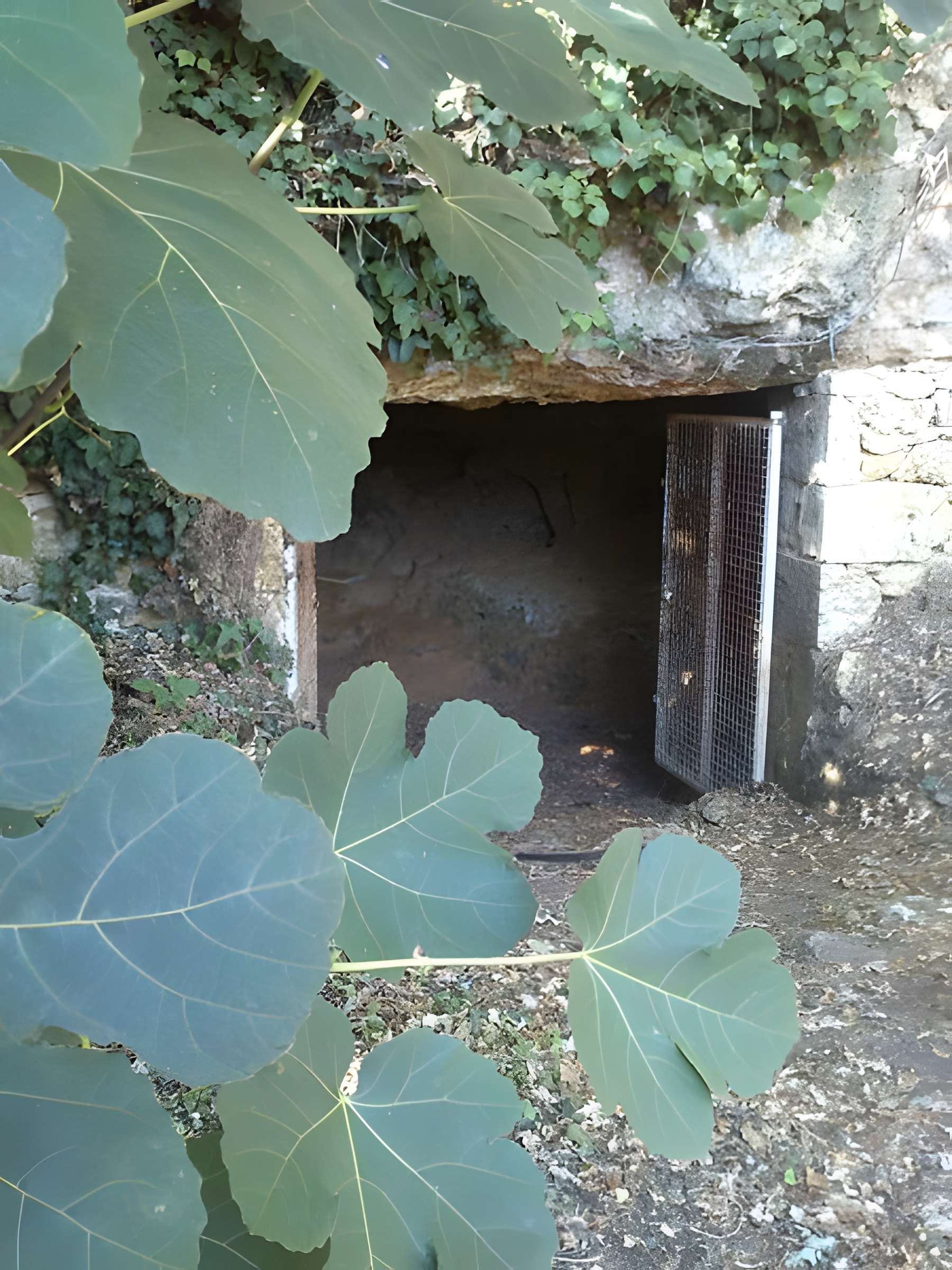 Grotte de La Marche de Lussac-les-Châteaux 
