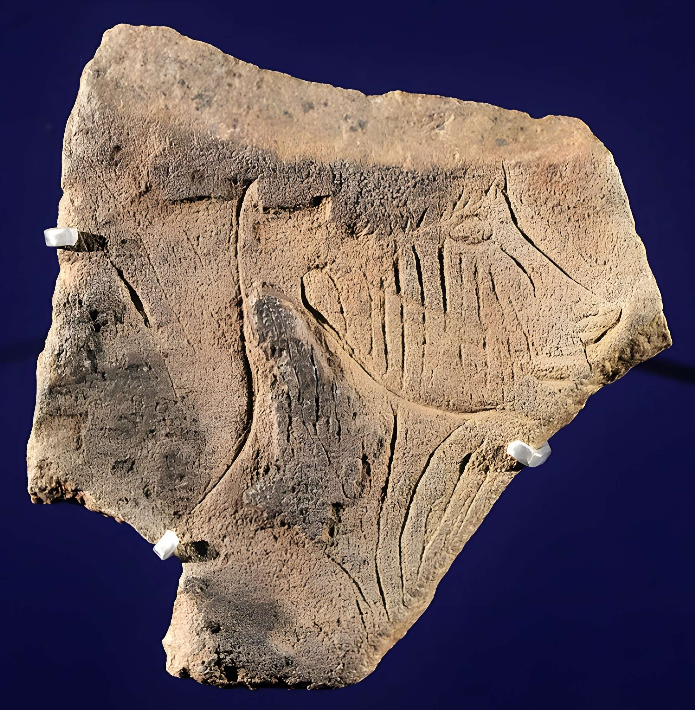 Grotte de La Marche de Lussac-les-Châteaux