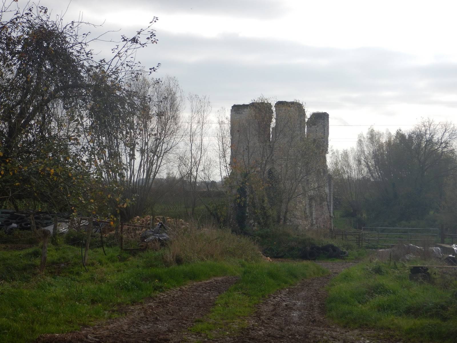 Photo de Château de Tannay
