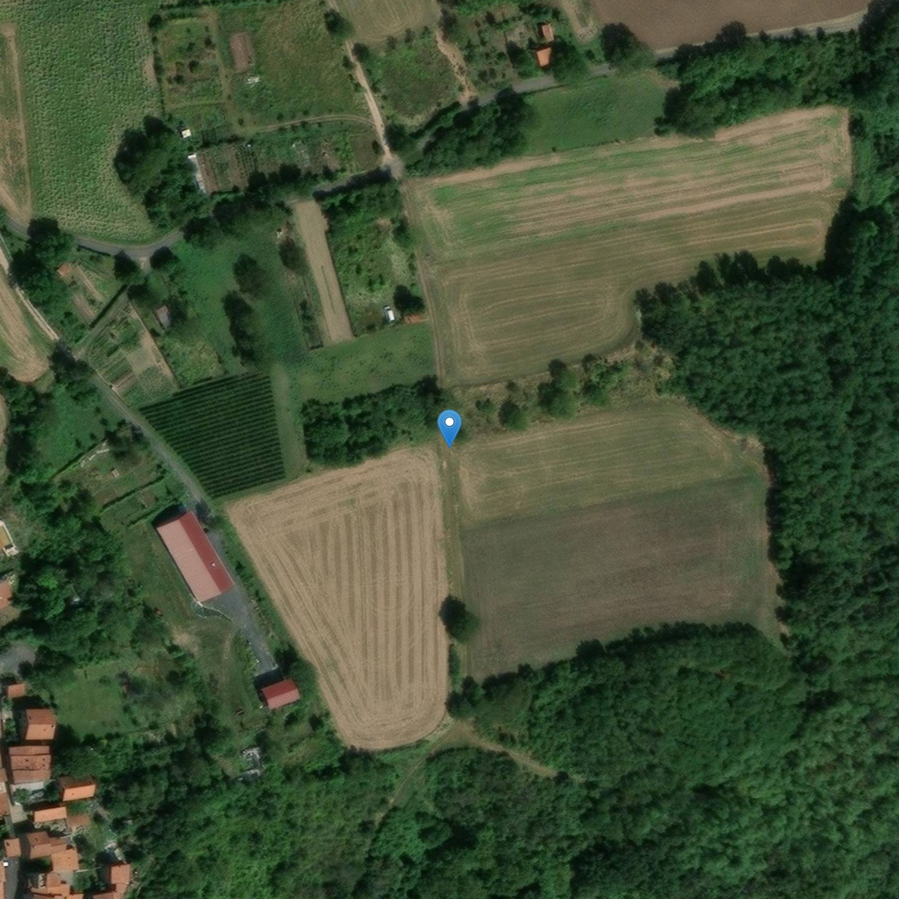 Photo de Château de Montpeyroux