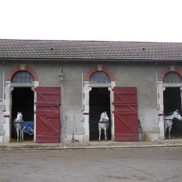 Photo de Haras national de Gelos