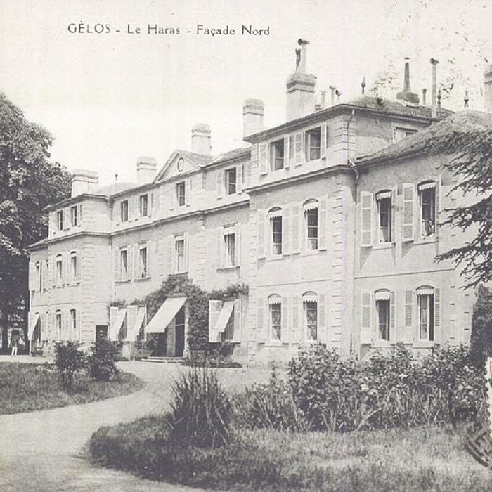 Photo de Haras national de Gelos