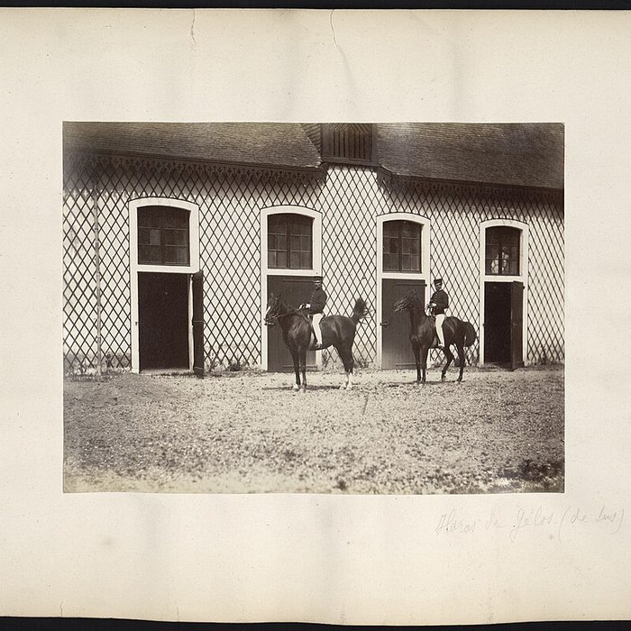 Photo de Haras national de Gelos