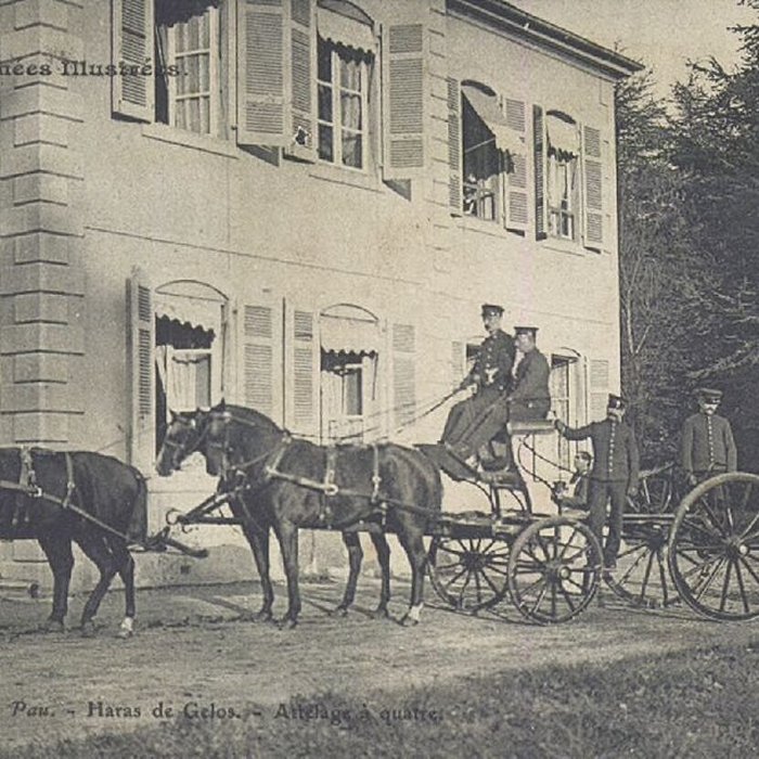 Photo de Haras national de Gelos