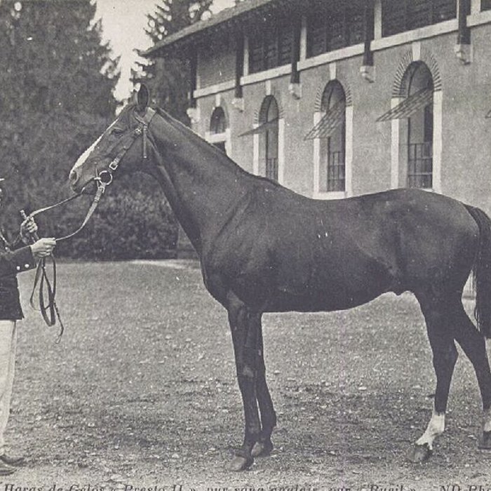 Photo de Haras national de Gelos
