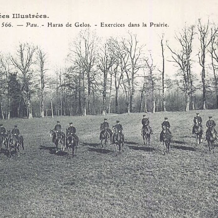 Photo de Haras national de Gelos