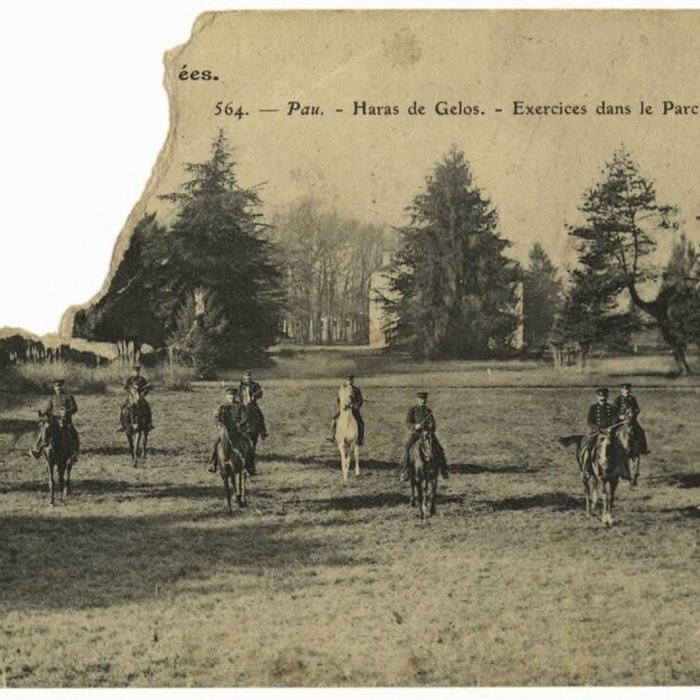 Photo de Haras national de Gelos