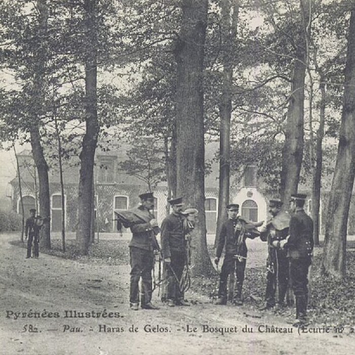 Photo de Haras national de Gelos