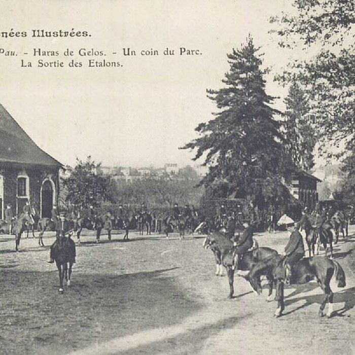 Photo de Haras national de Gelos