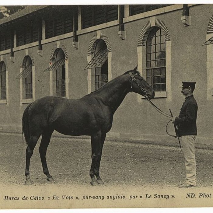 Photo de Haras national de Gelos