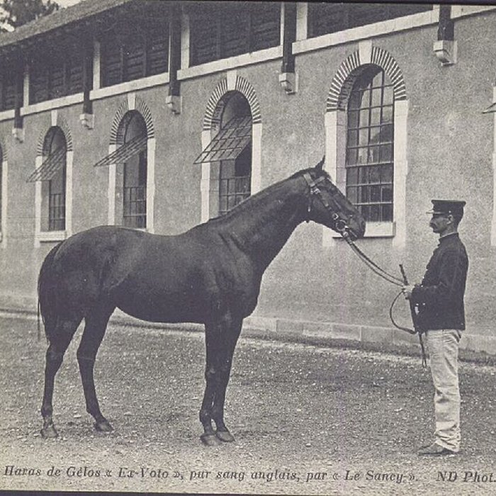 Photo de Haras national de Gelos