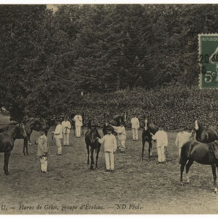 Photo de Haras national de Gelos
