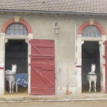 Haras national de Gelos