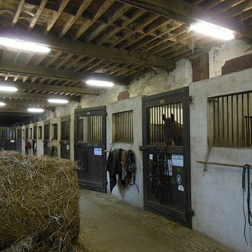 Haras national de Gelos