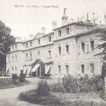 Haras national de Gelos