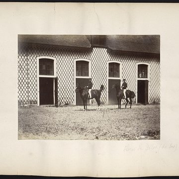 Haras national de Gelos