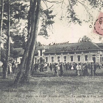 Haras national de Gelos