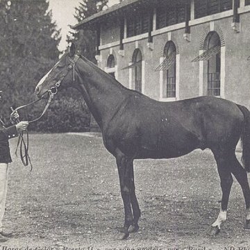 Haras national de Gelos