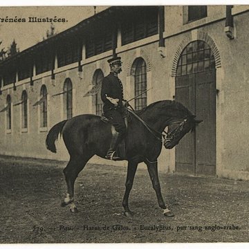 Haras national de Gelos