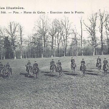 Haras national de Gelos