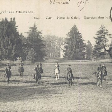 Haras national de Gelos