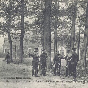 Haras national de Gelos