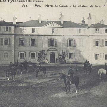 Haras national de Gelos