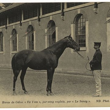 Haras national de Gelos