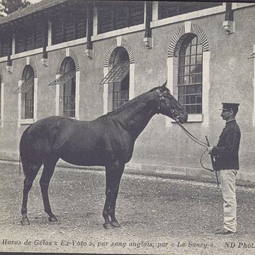 Haras national de Gelos