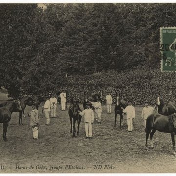 Haras national de Gelos