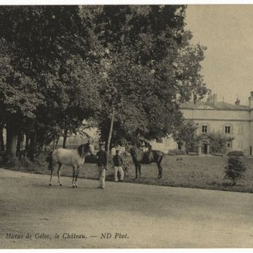 Haras national de Gelos