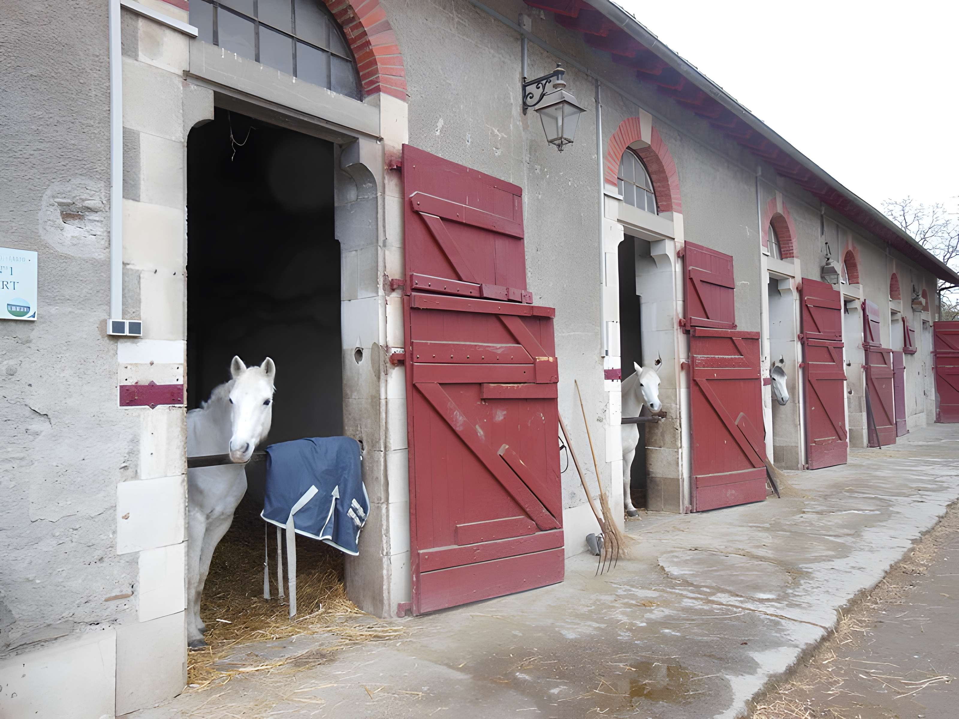 Haras national de Gelos