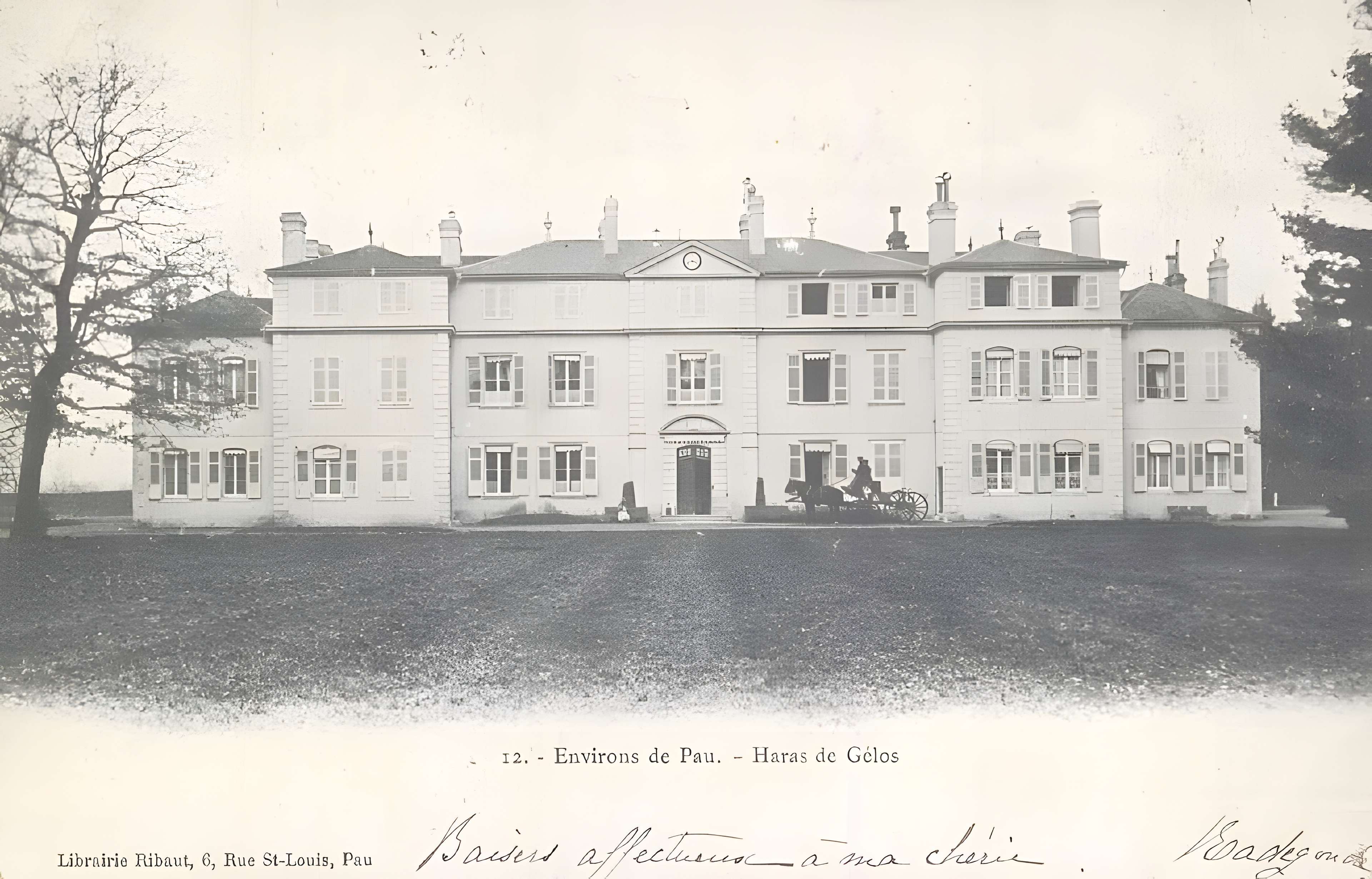 Haras national de Gelos