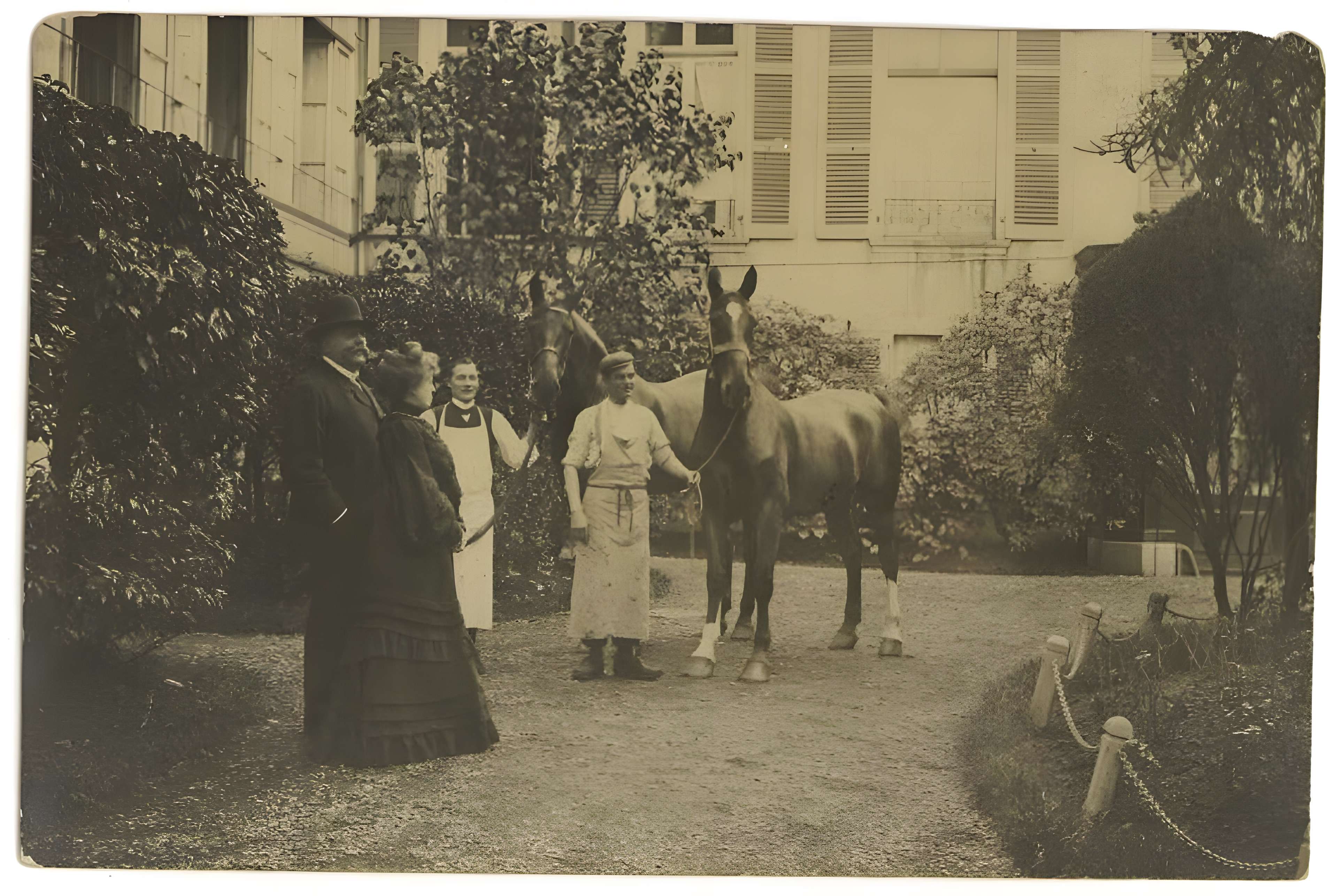 Haras national de Gelos