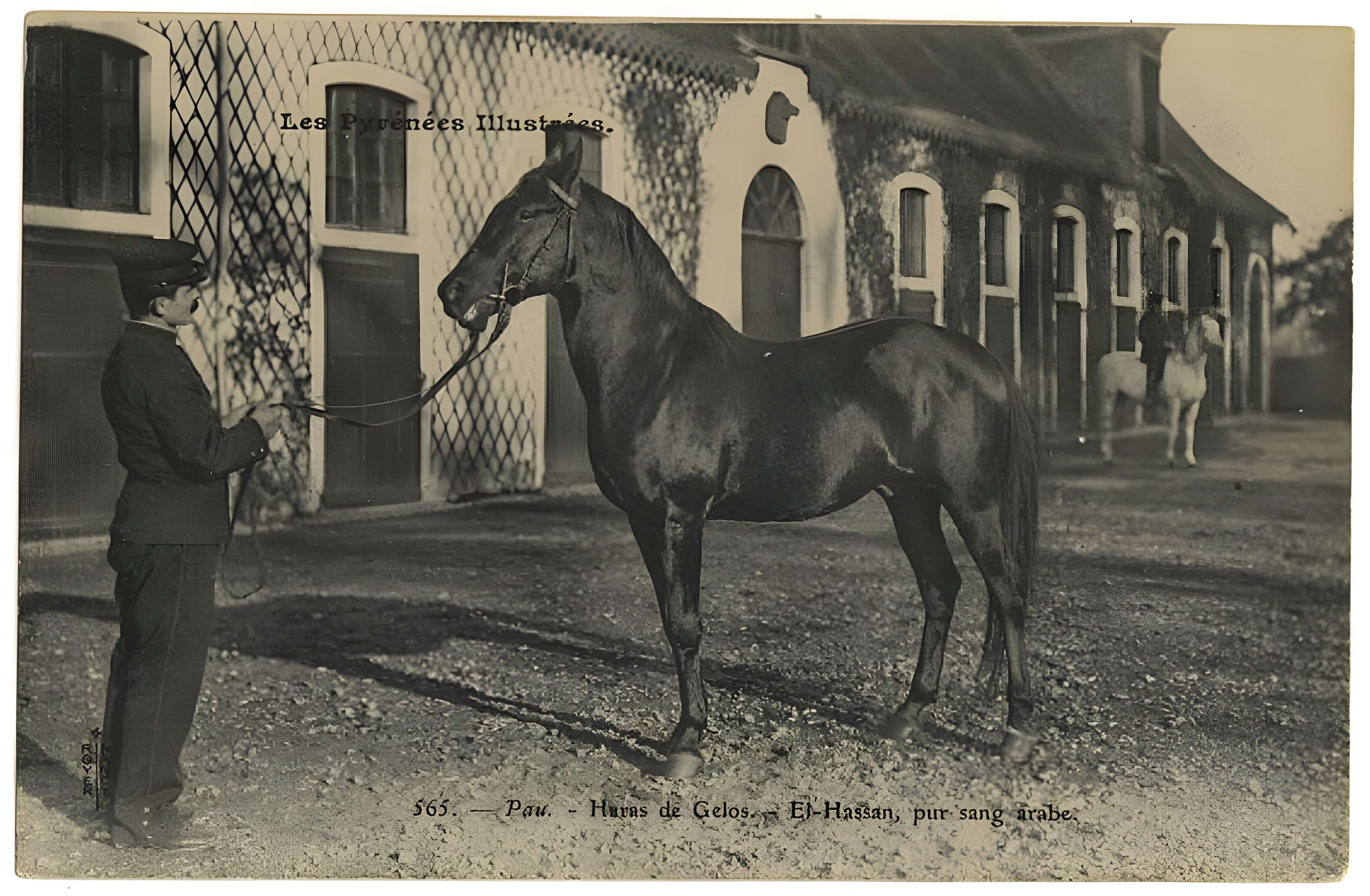 Haras national de Gelos