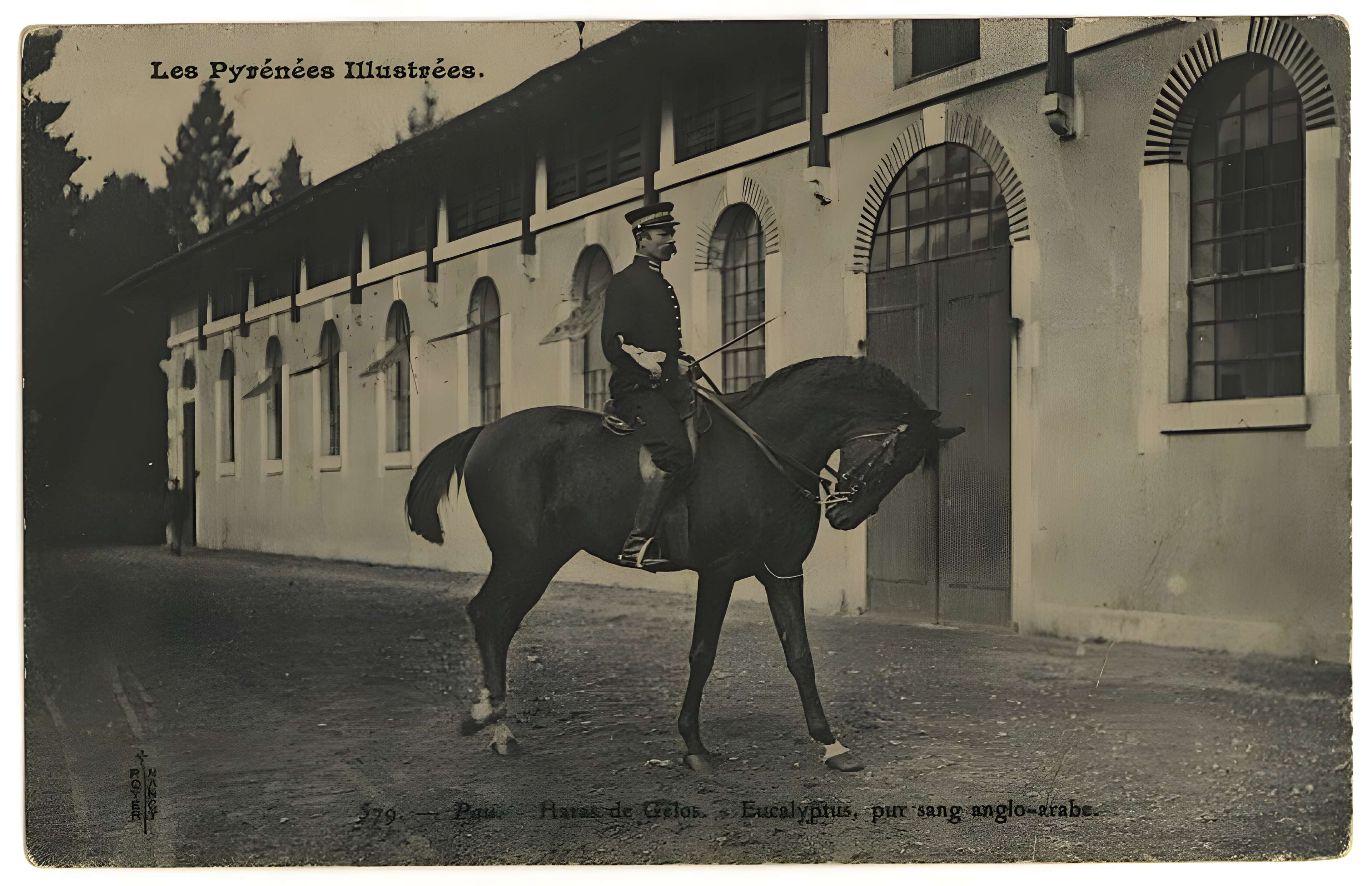 Haras national de Gelos