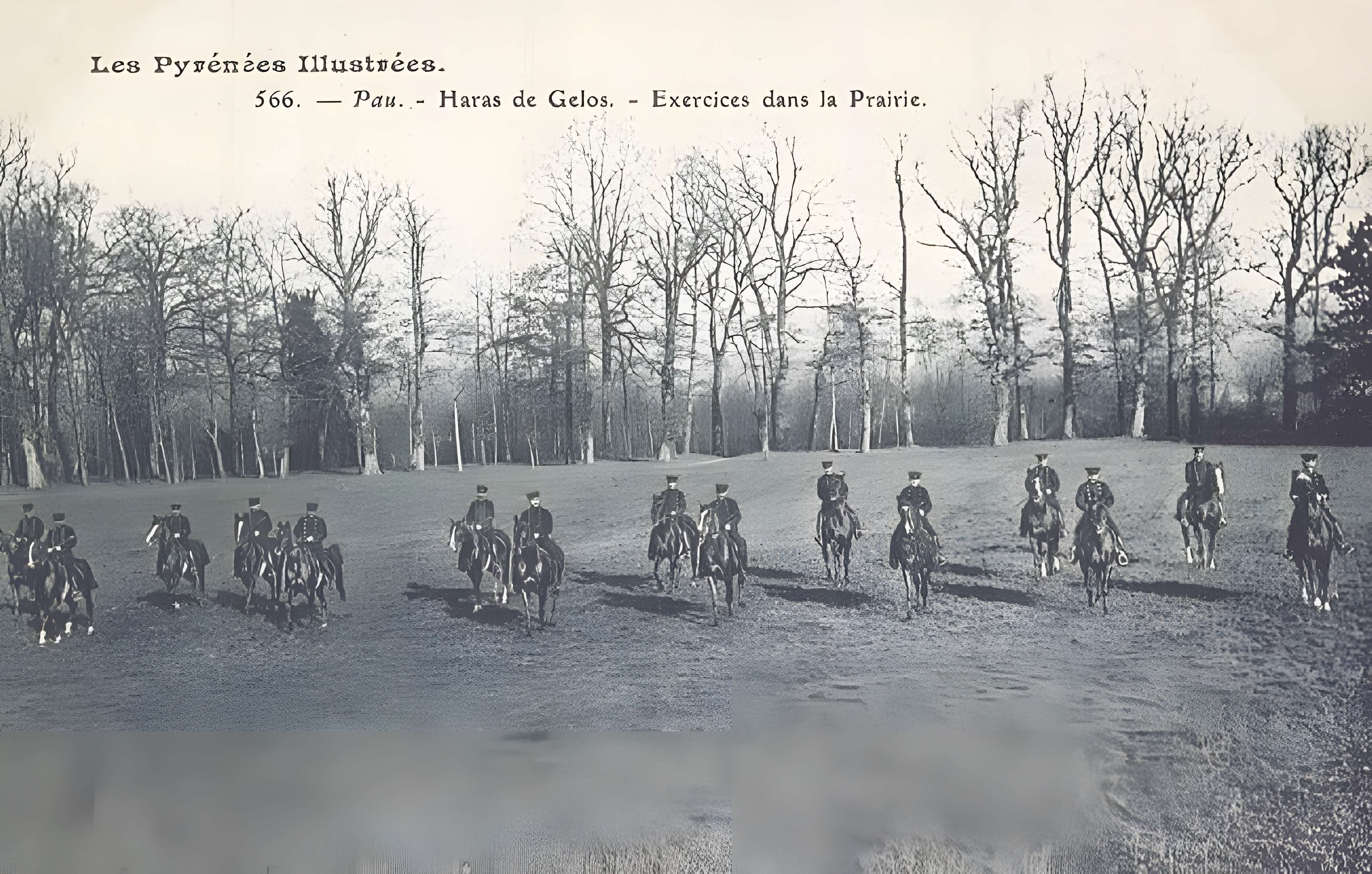 Haras national de Gelos