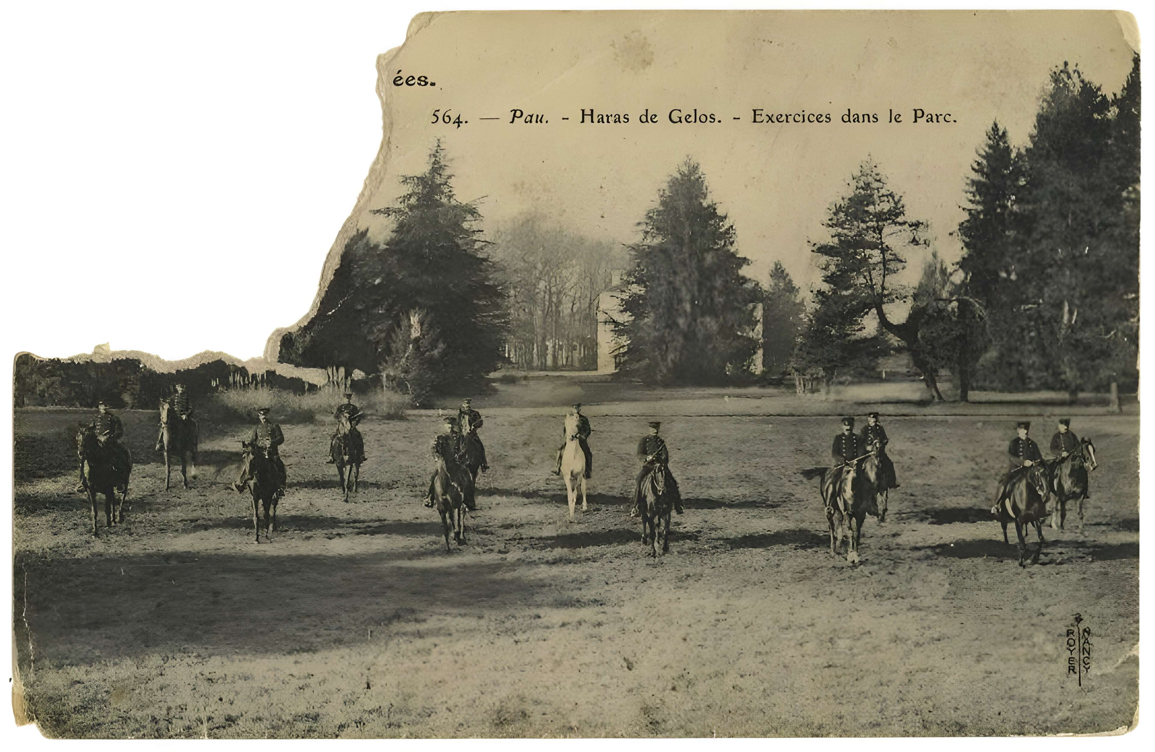 Haras national de Gelos