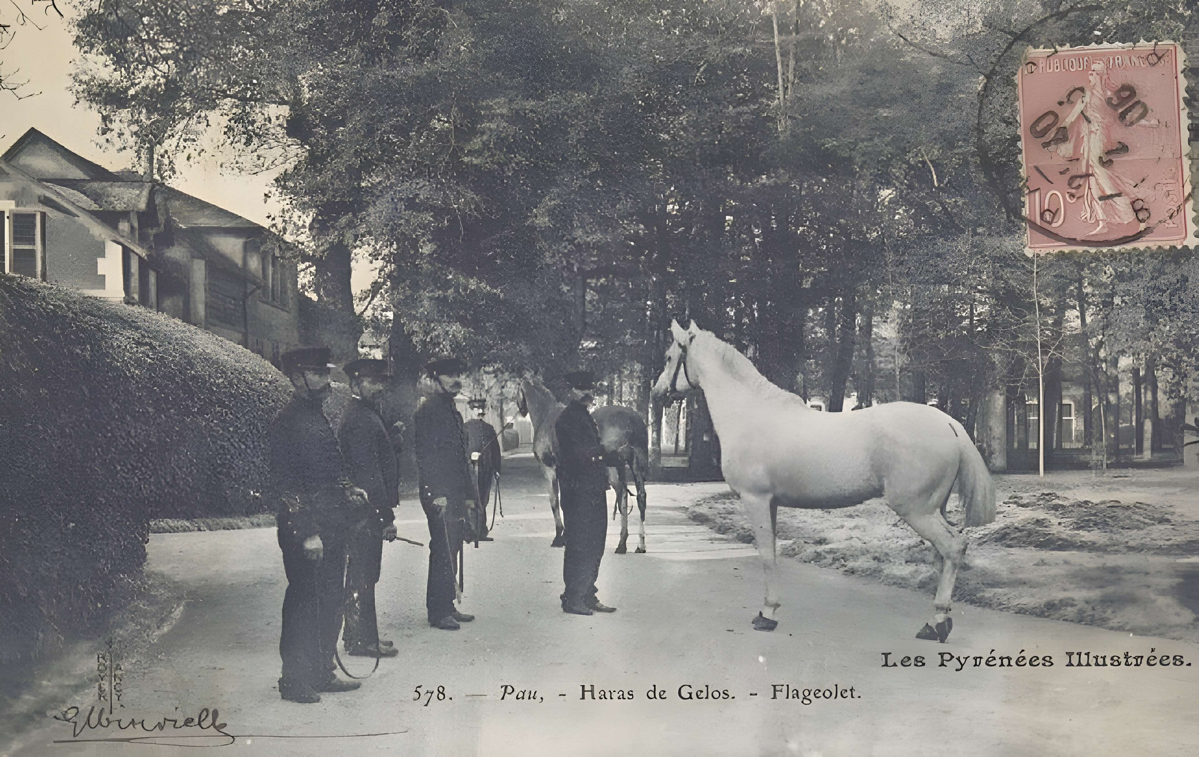 Haras national de Gelos