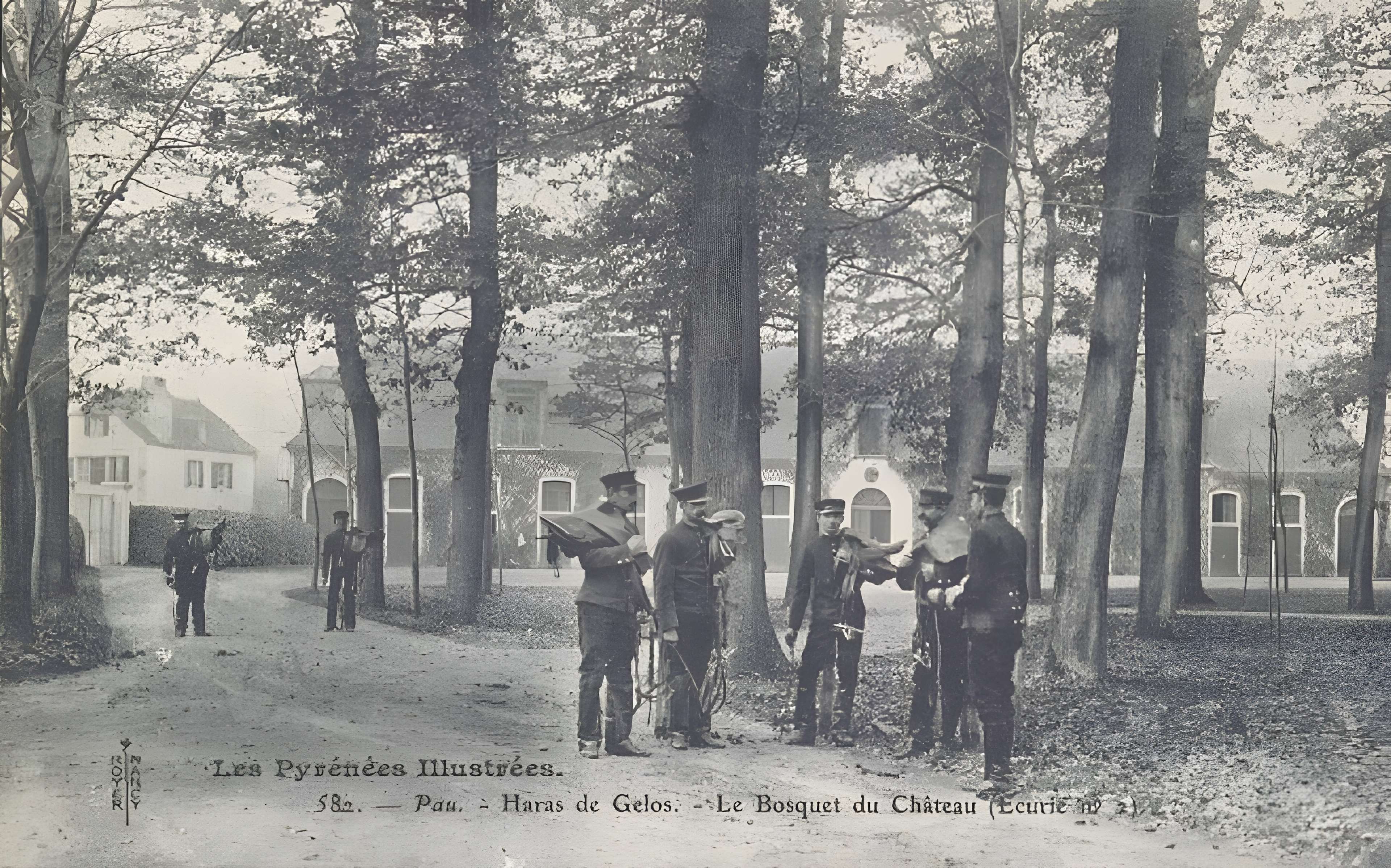 Haras national de Gelos