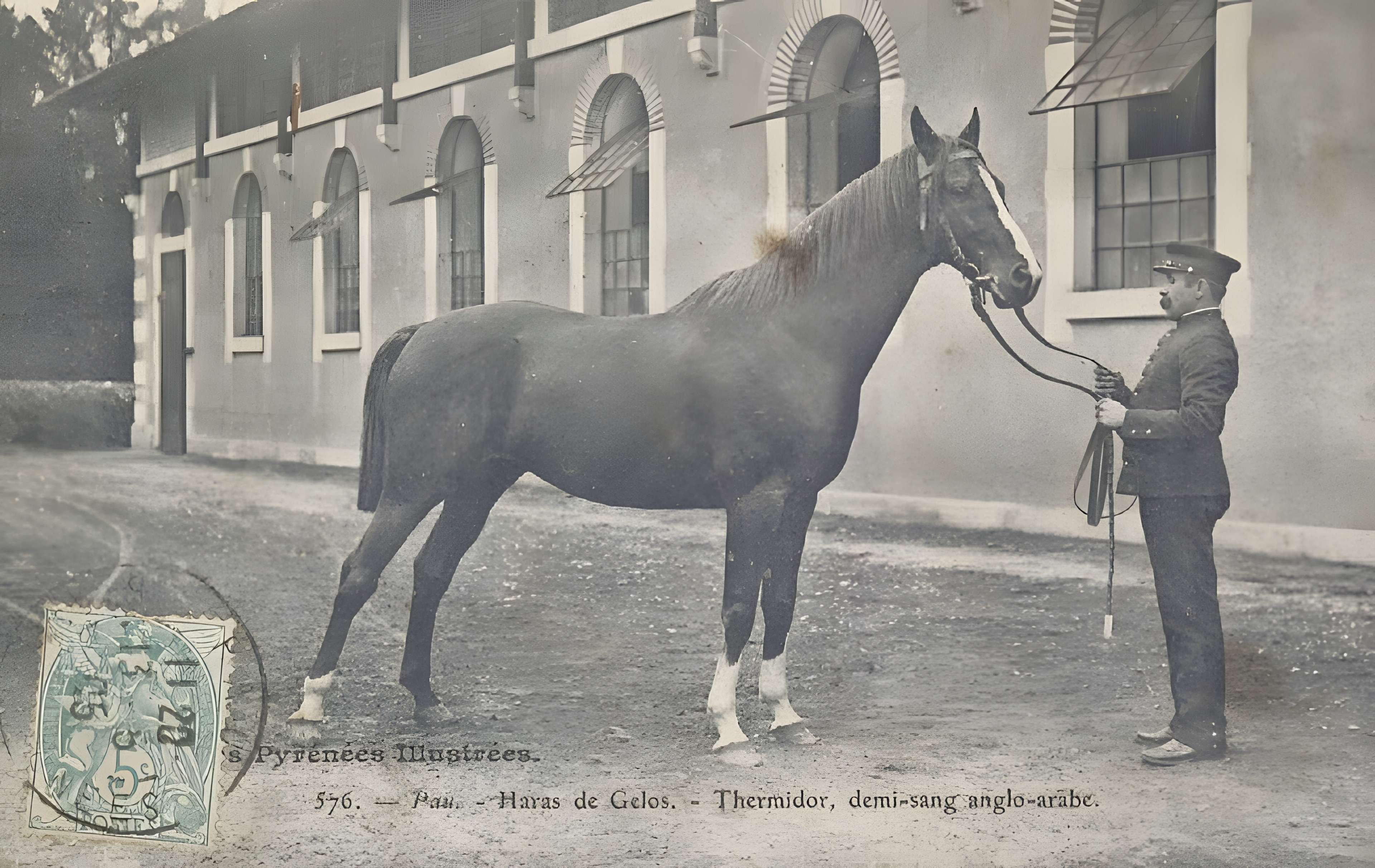 Haras national de Gelos