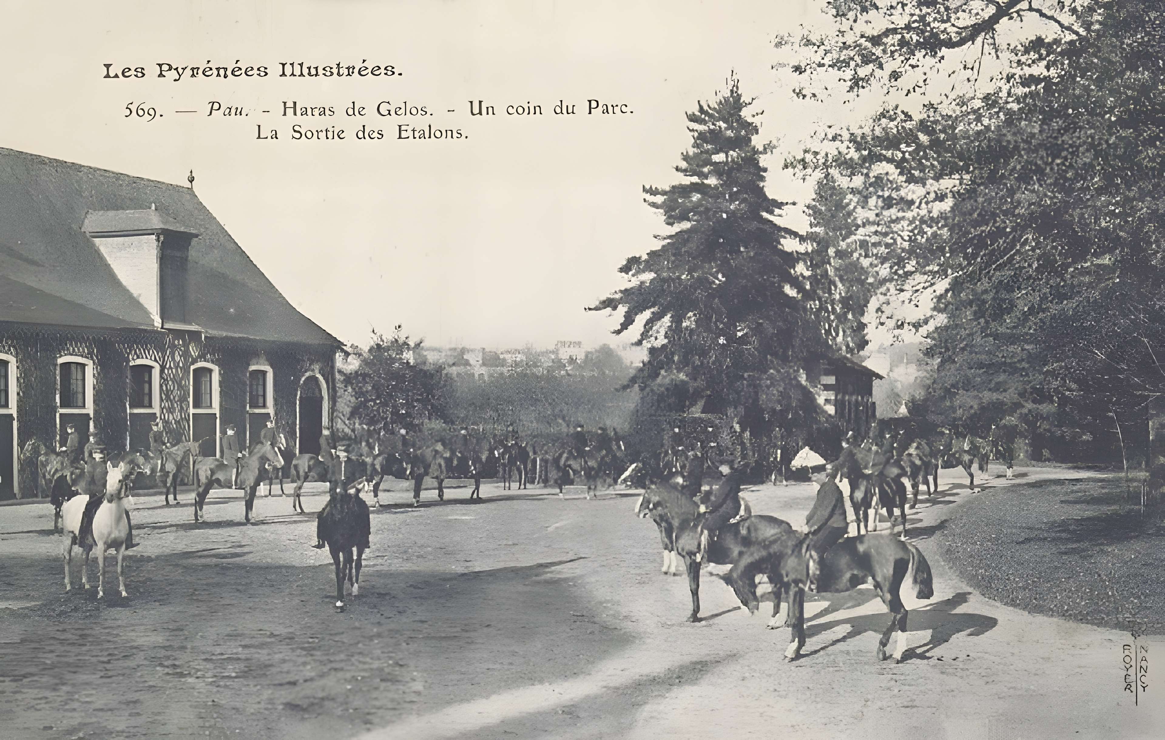 Haras national de Gelos