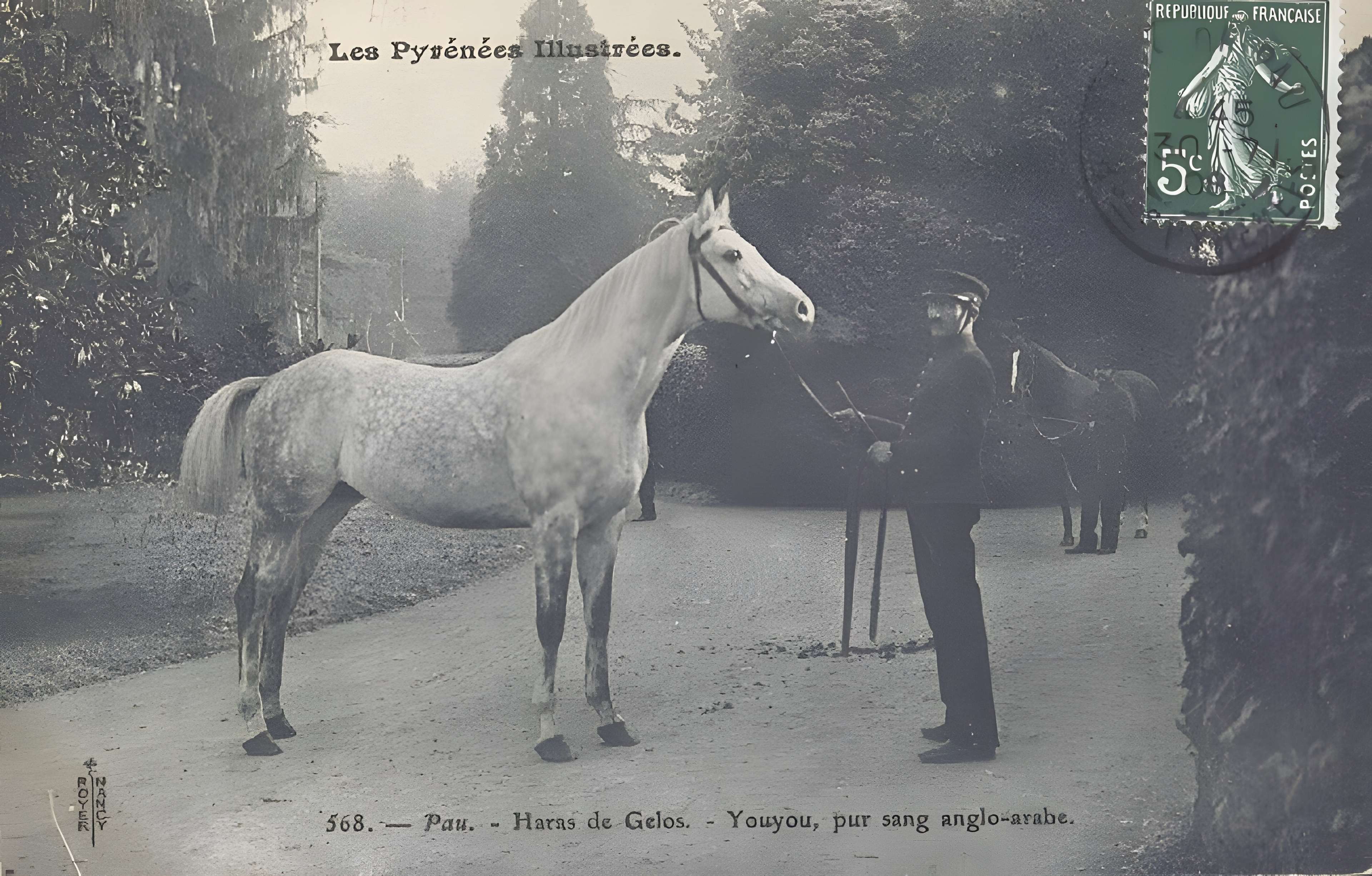 Haras national de Gelos