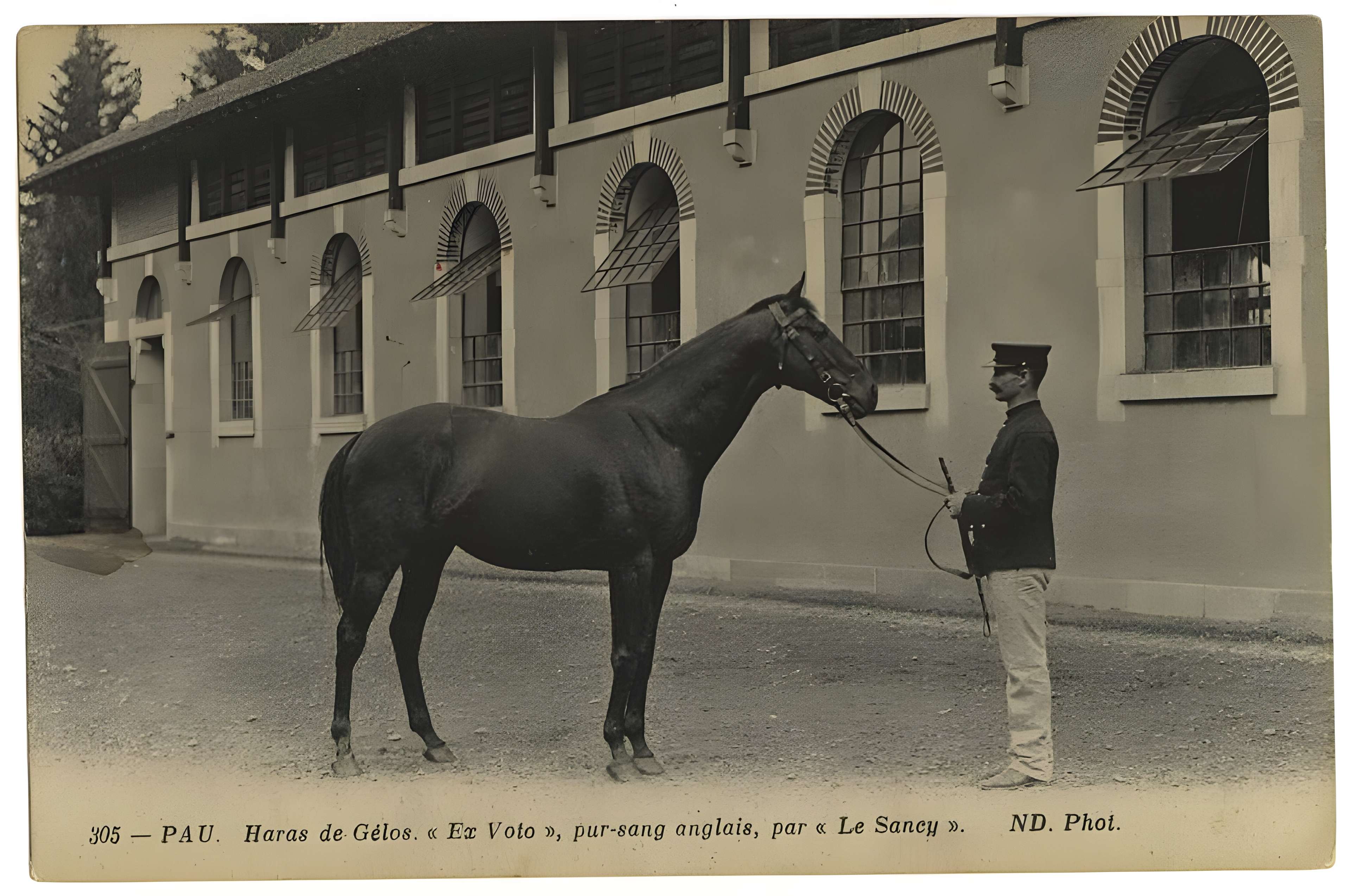 Haras national de Gelos