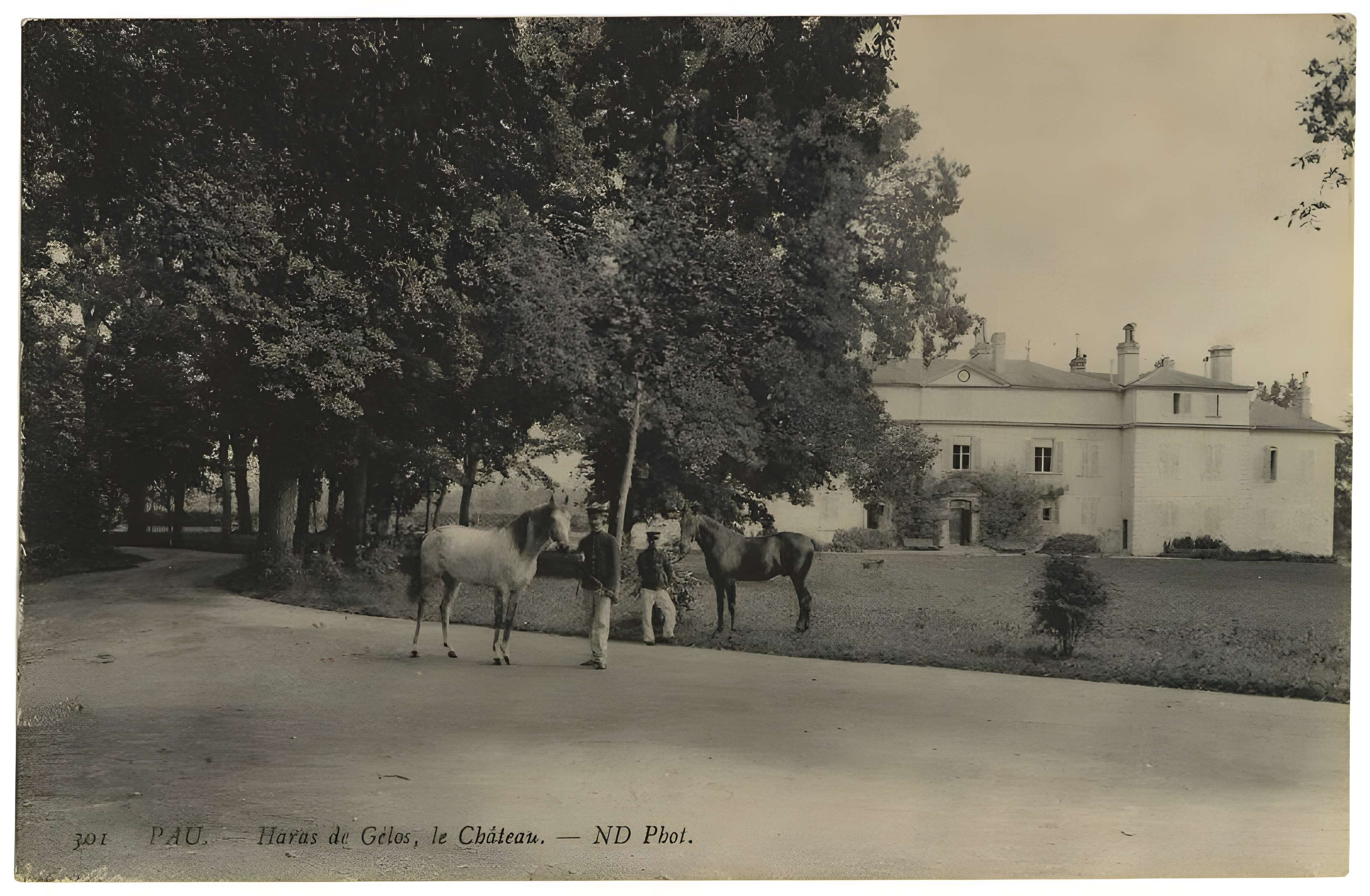 Haras national de Gelos