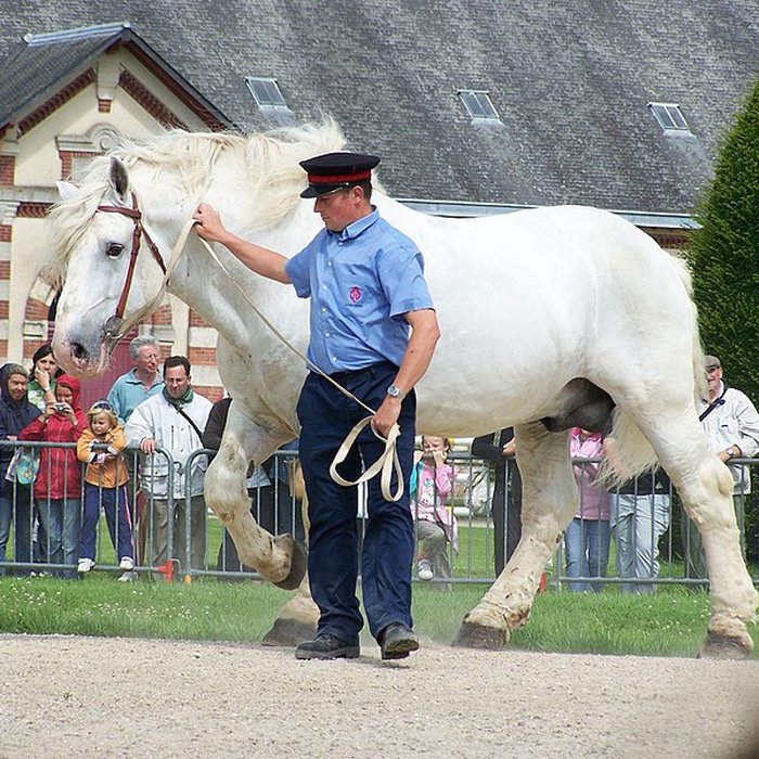Photo de Haras national de Saint-Lô