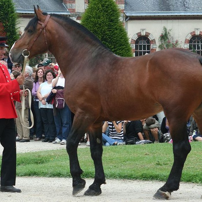 Photo de Haras national de Saint-Lô