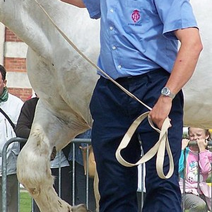 Photo de Haras national de Saint-Lô