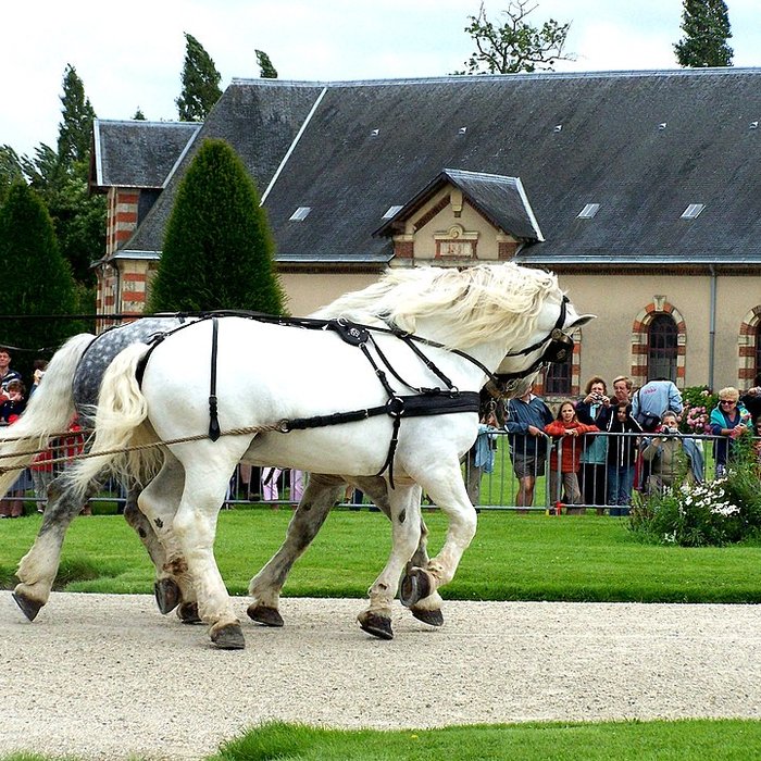 Photo de Haras national de Saint-Lô